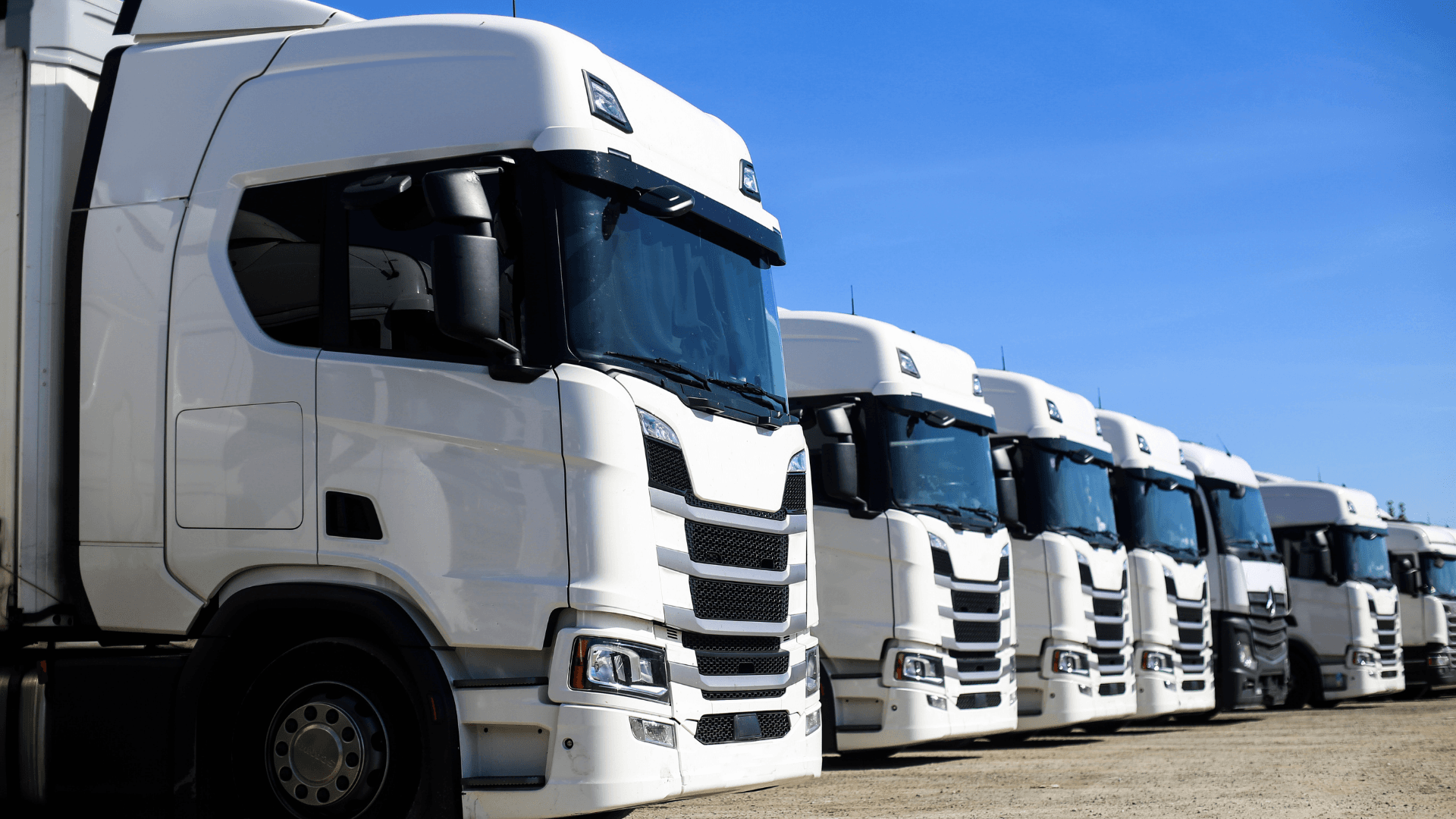 Logistics and Transport