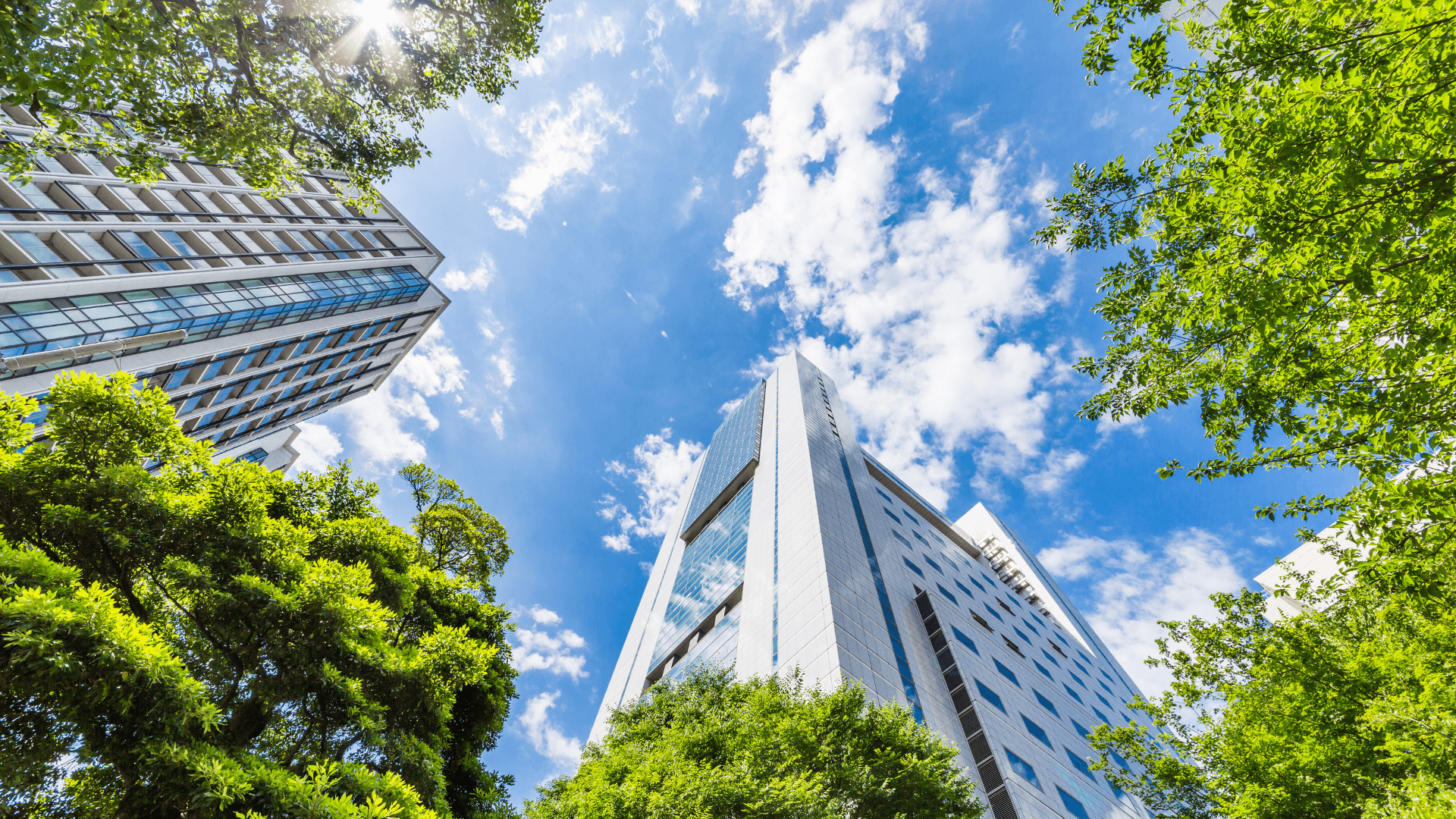 Vision Zero Connect Awarded Best ESG & Building-Performance…