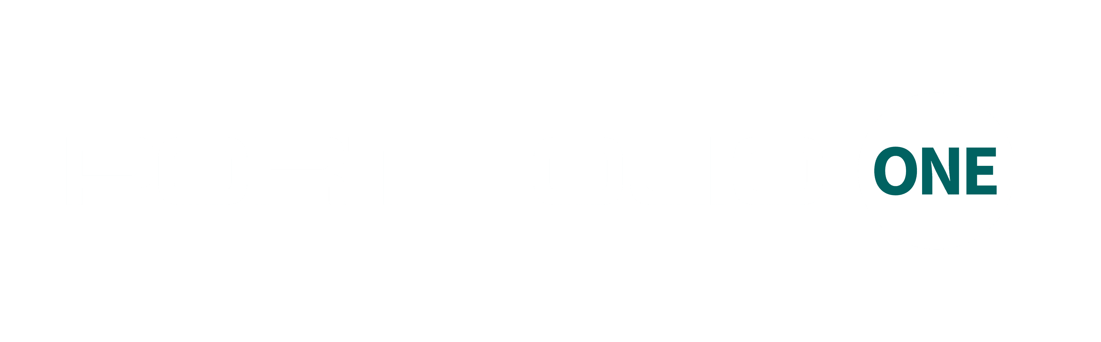 Portfolio One
